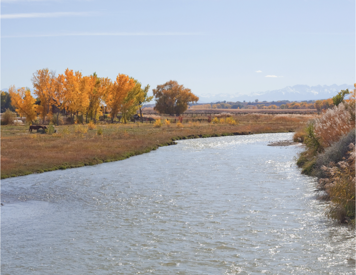 A Local's Guide to Living in Delta, Colorado